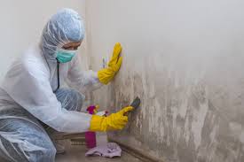 Best Mold Remediation for Healthcare Facilities  in Riley, KS